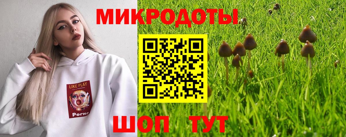 Галлюциногенные грибы Magic Shrooms Донецк